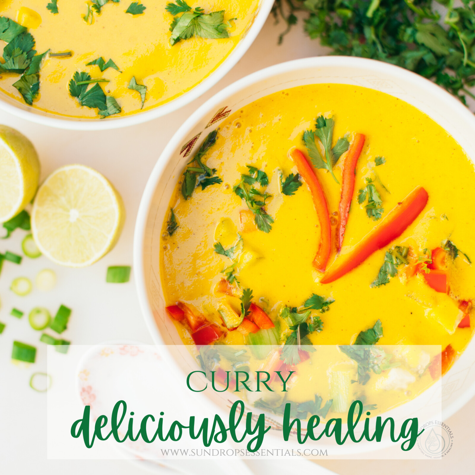 Chicken Curry Healing Soup
