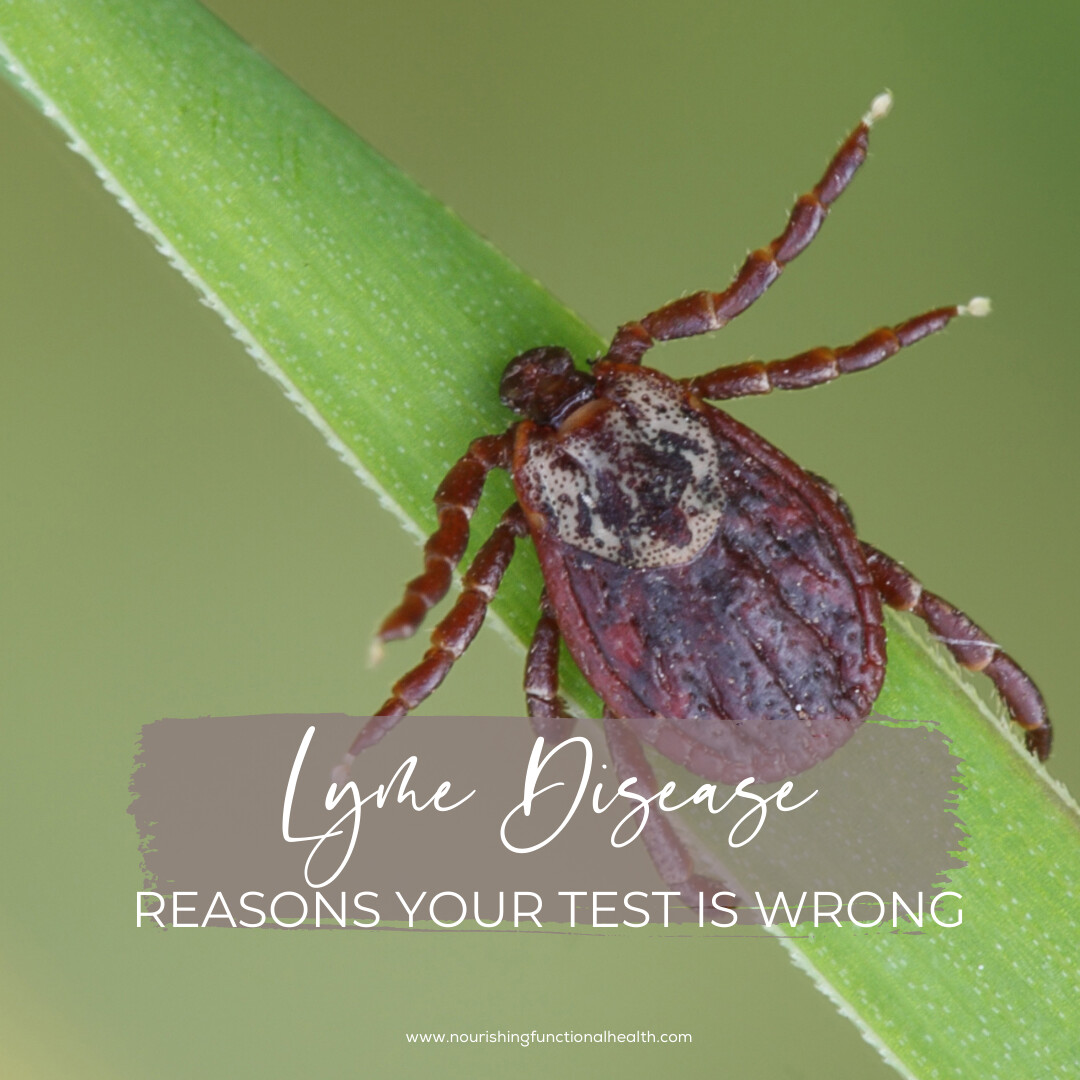 22 Reasons your negative Lyme Disease test results are wrong