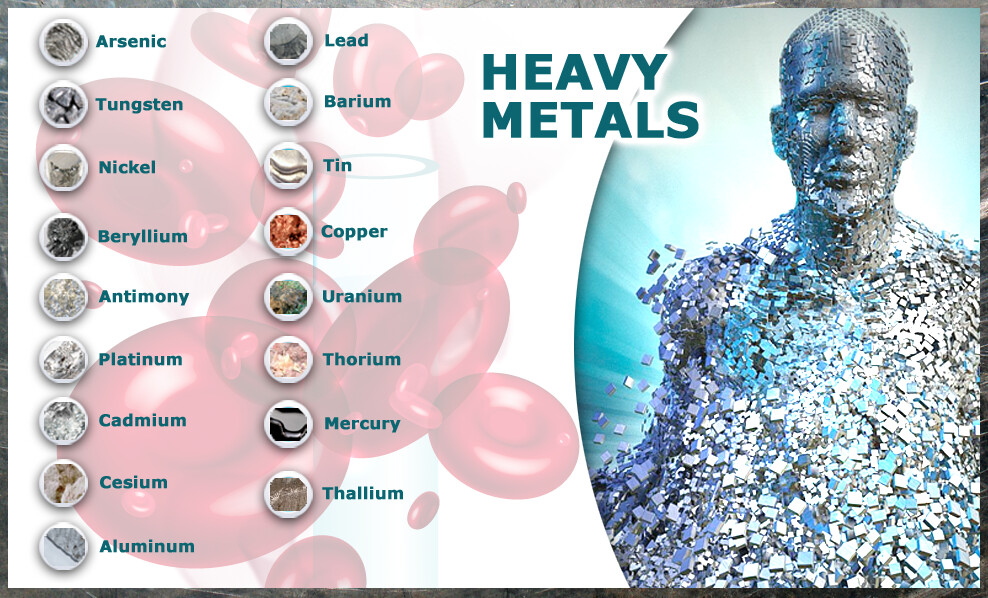 Detoxing Heavy Metals