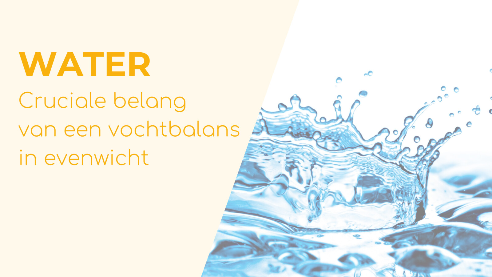 Water – het cruciale belang van een vochtbalans in evenwicht