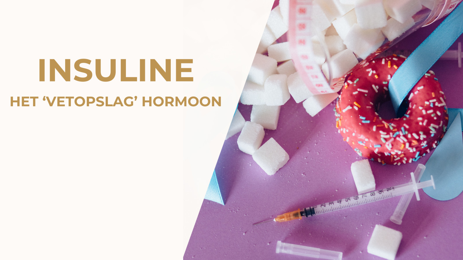 Insuline - Het 'vetopslag’ hormoon