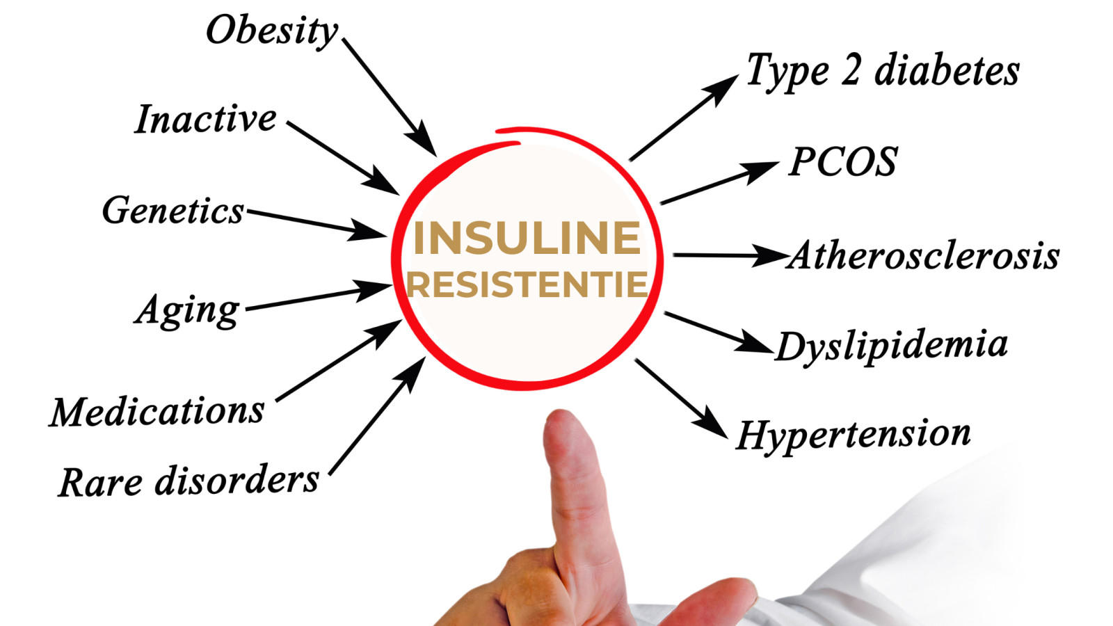 Insulineresistentie onder controle voor meer energie en minder overgewicht