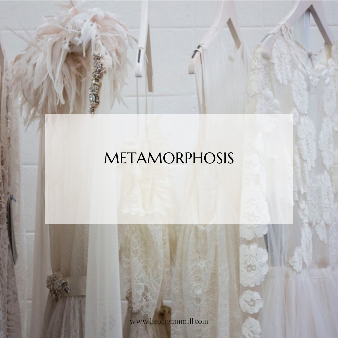 Metamorphosis