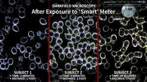 The dangers of EMF pollution