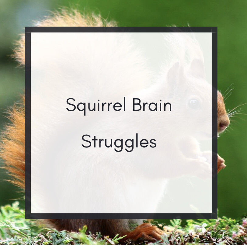 Squirrel Brain Struggles