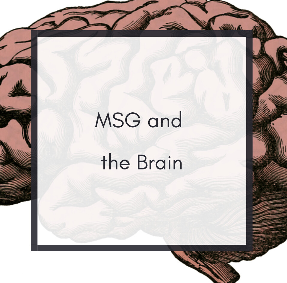 MSG and The Brain