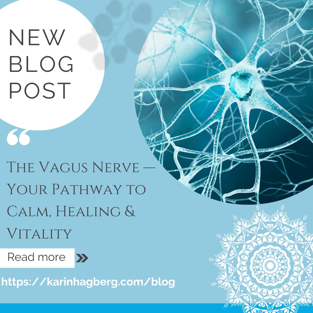 The Vagus Nerve — Your Pathway to Calm, Healing & Vitality
