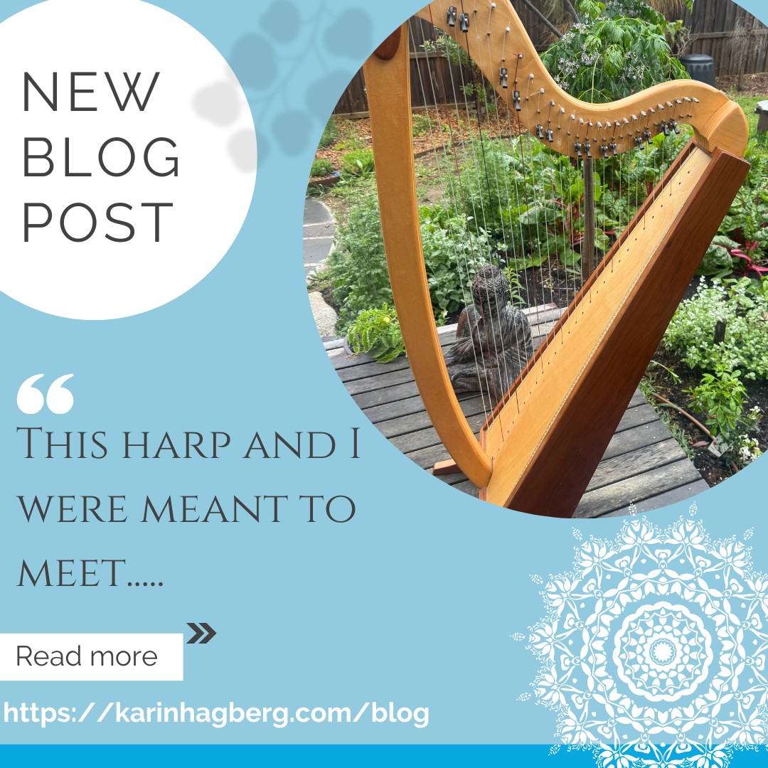 The Day I Met My Harp — 3rd November 2025