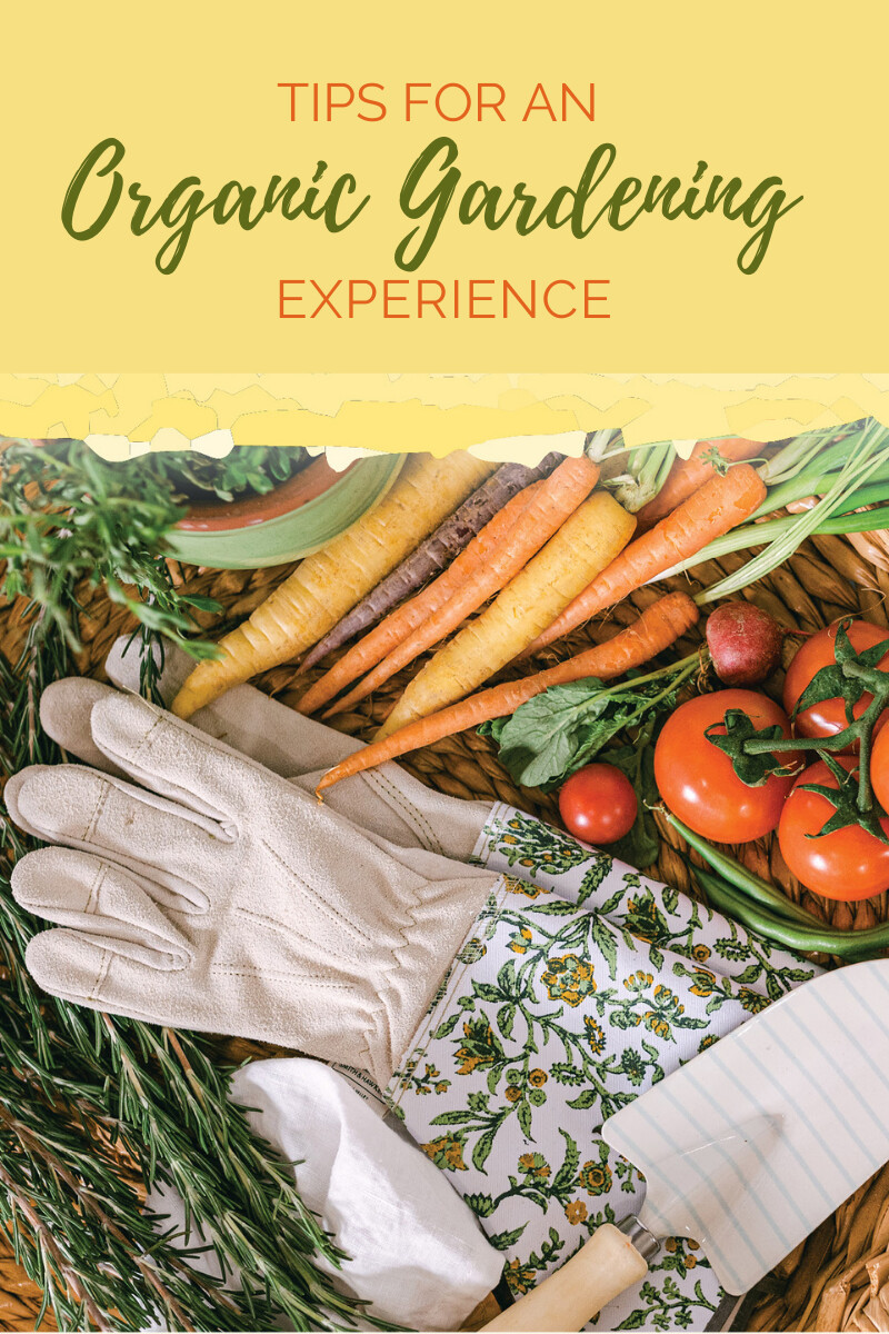 Tips For An Organic Gardening Experience