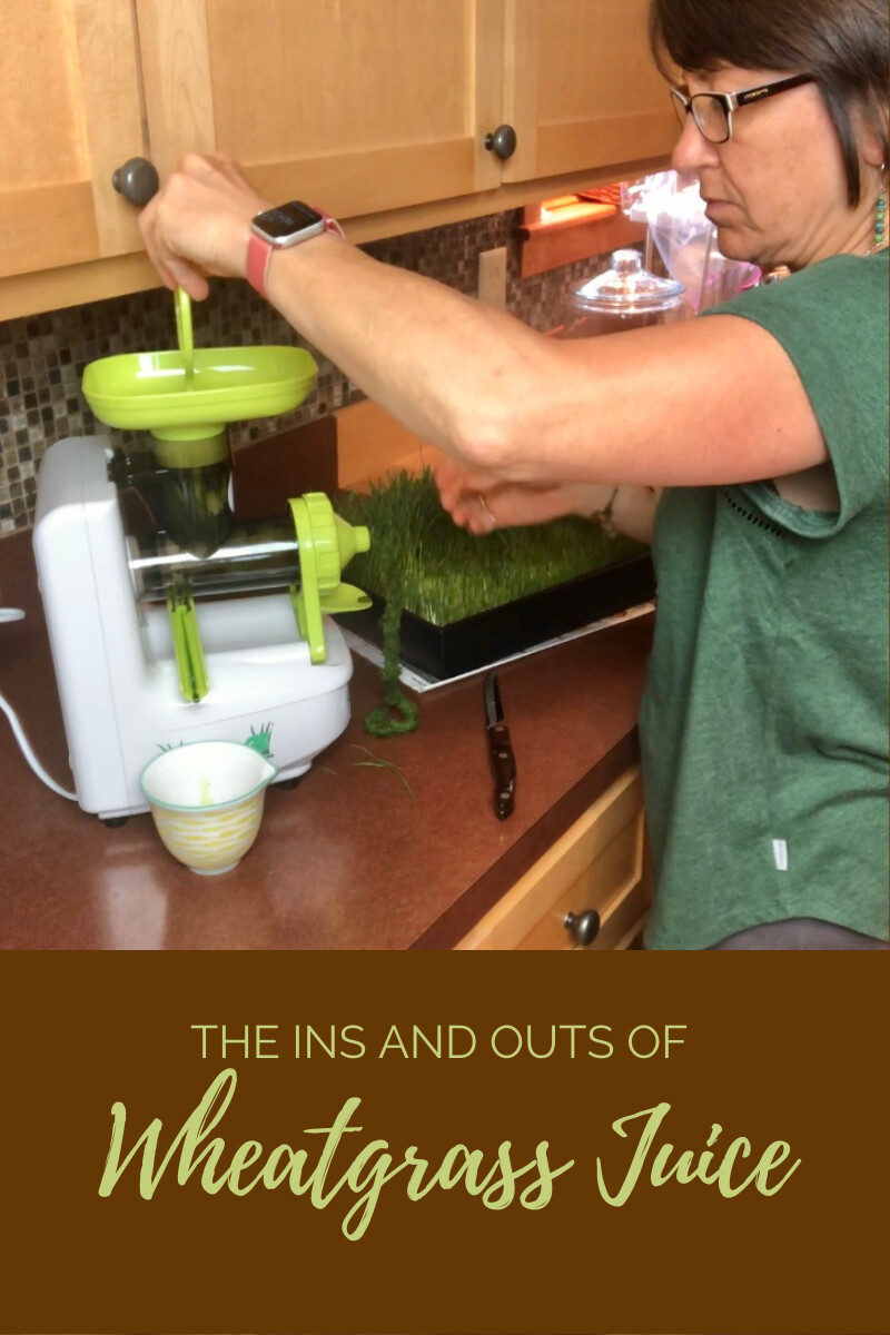The What, Why, and How of Wheatgrass Juice