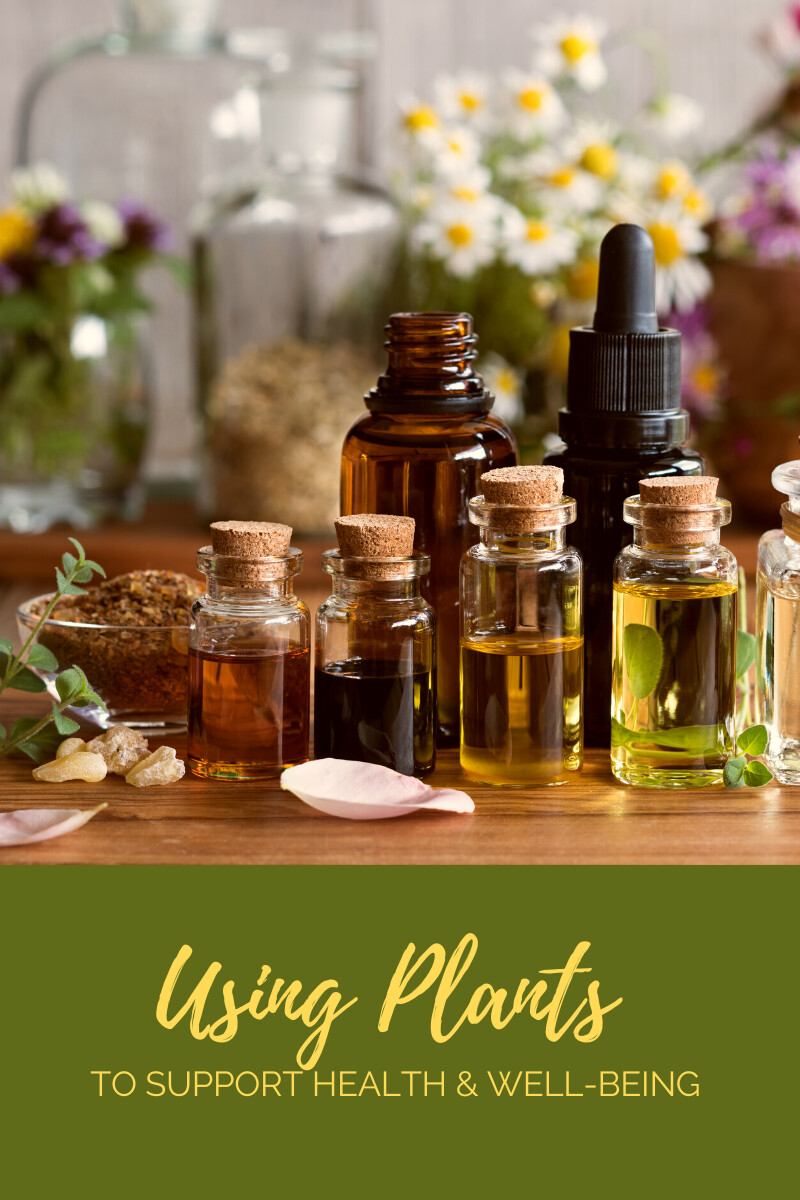 Using Plants to Support Health and Well-Being