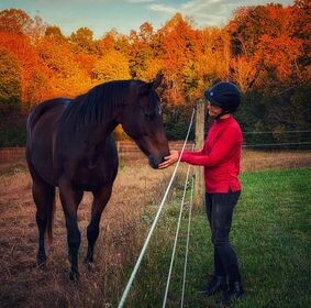 How do I deal with anxiety over finances? - Especially with horses!