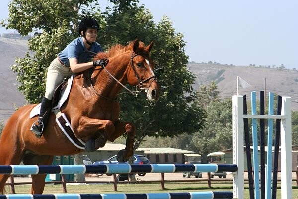 Does horse riding tone your stomach?