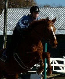 Does Rider Confidence help Horse Confidence?