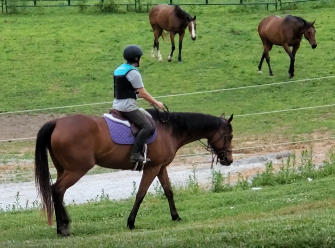 How do you regain confidence in riding horses after a traumatic accident?