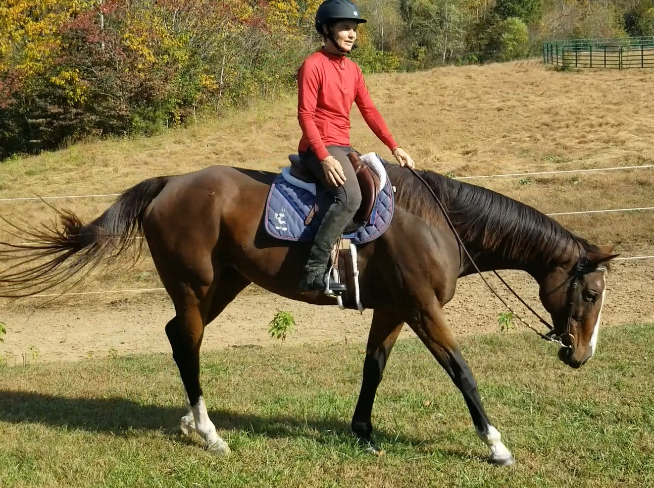 What stretches do you do for equestrians?