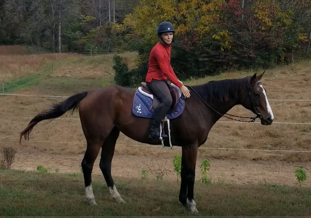 5 Steps on How to Get Back into Horse Riding After a Long Time