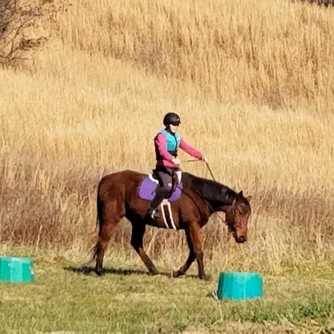 4 Steps to Handle Nerves on First Rides Back in the Saddle