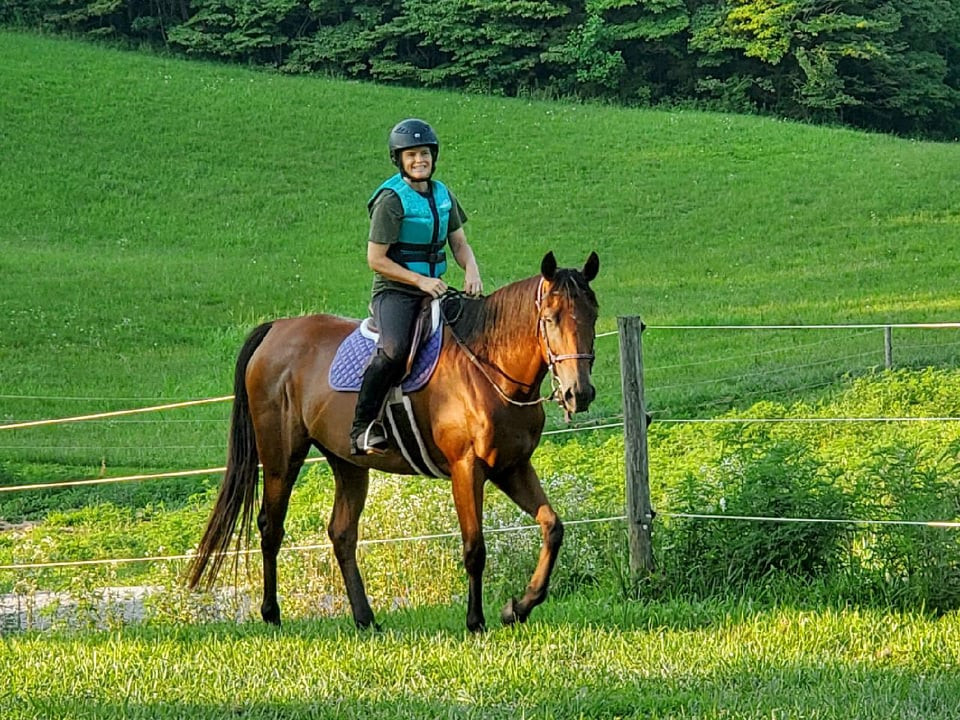 How do horses apologize?