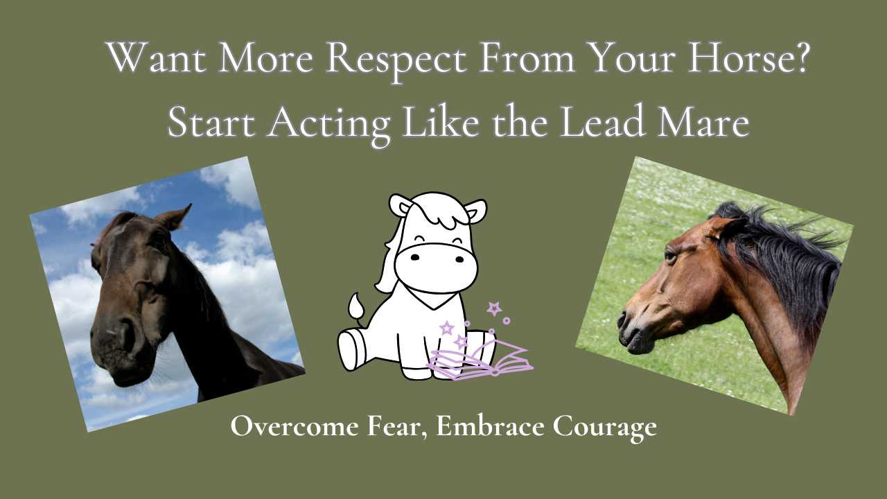 Want More Respect from Your Horse? Start Acting Like the Lead Mare