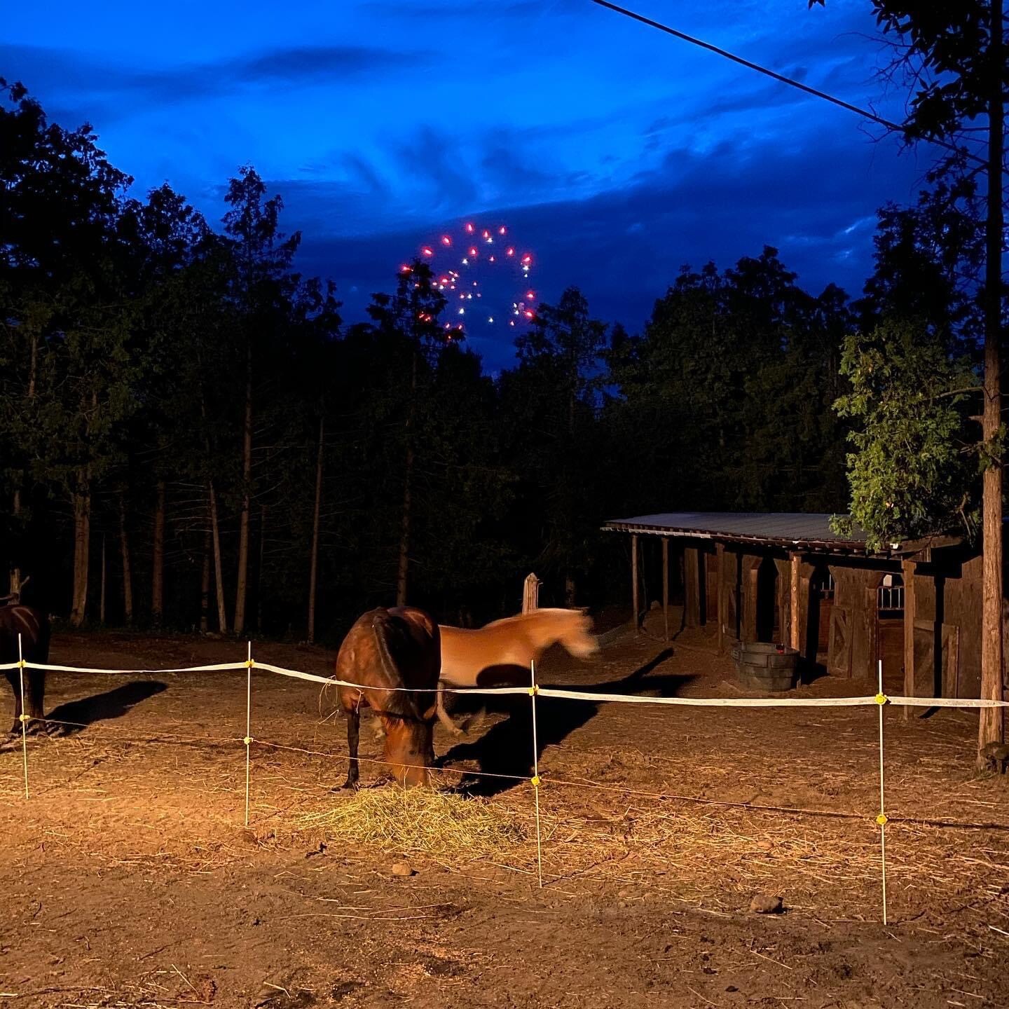 Start today!  Prepare your horse for next year's fireworks.
