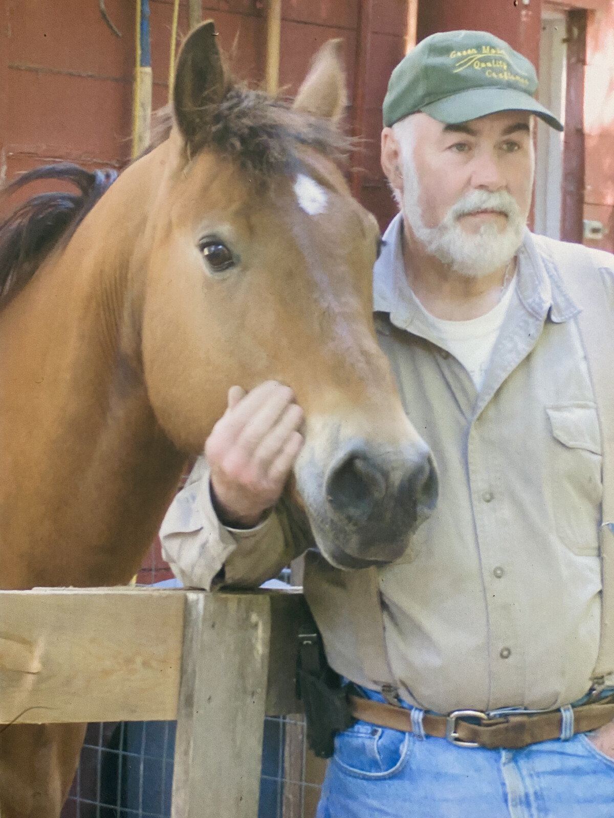  Bentonite Clay For Your Horse
