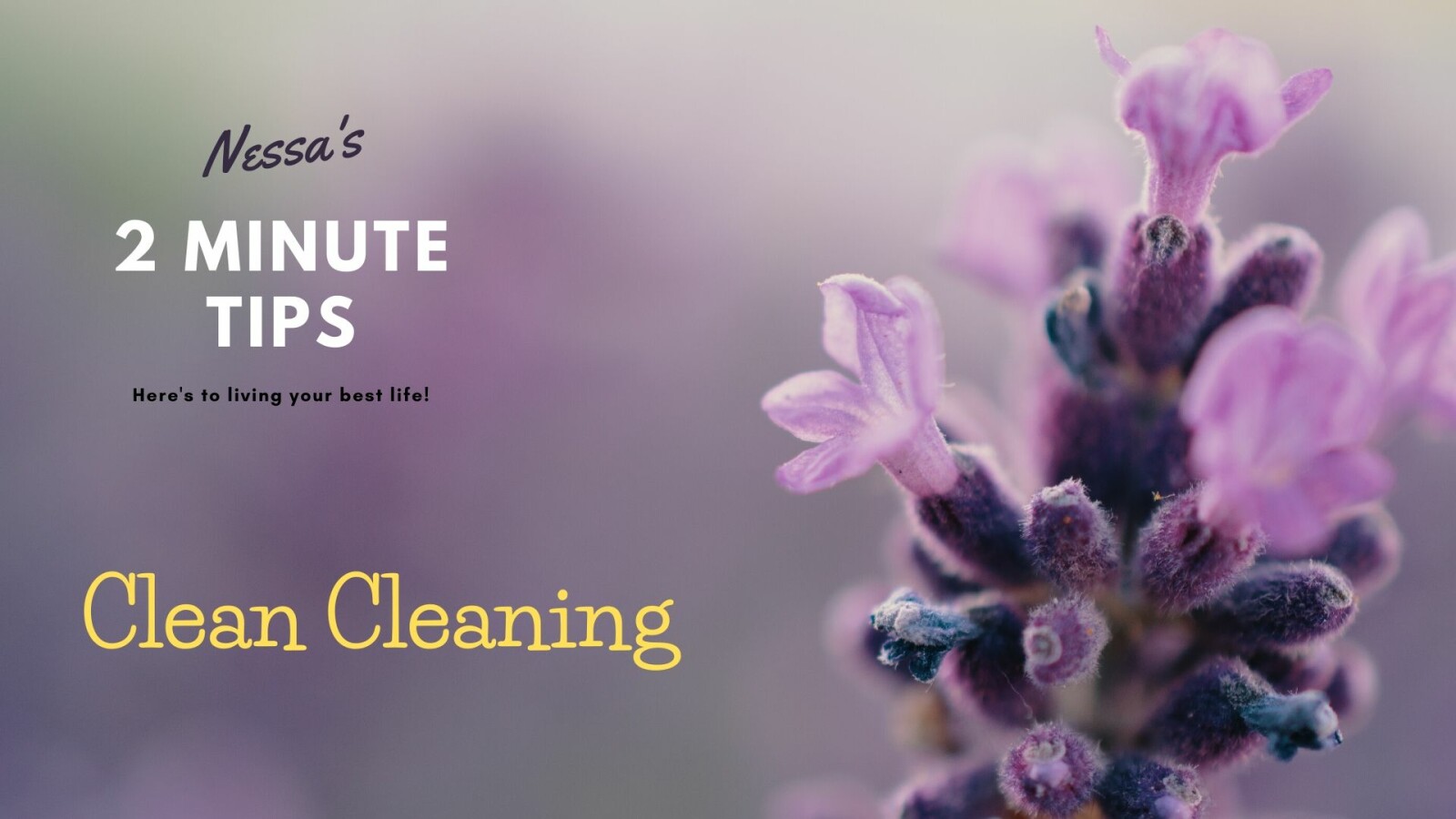 Clean Cleaning - Natural ways to clean your home without the nasty side effects of chemical cleaners