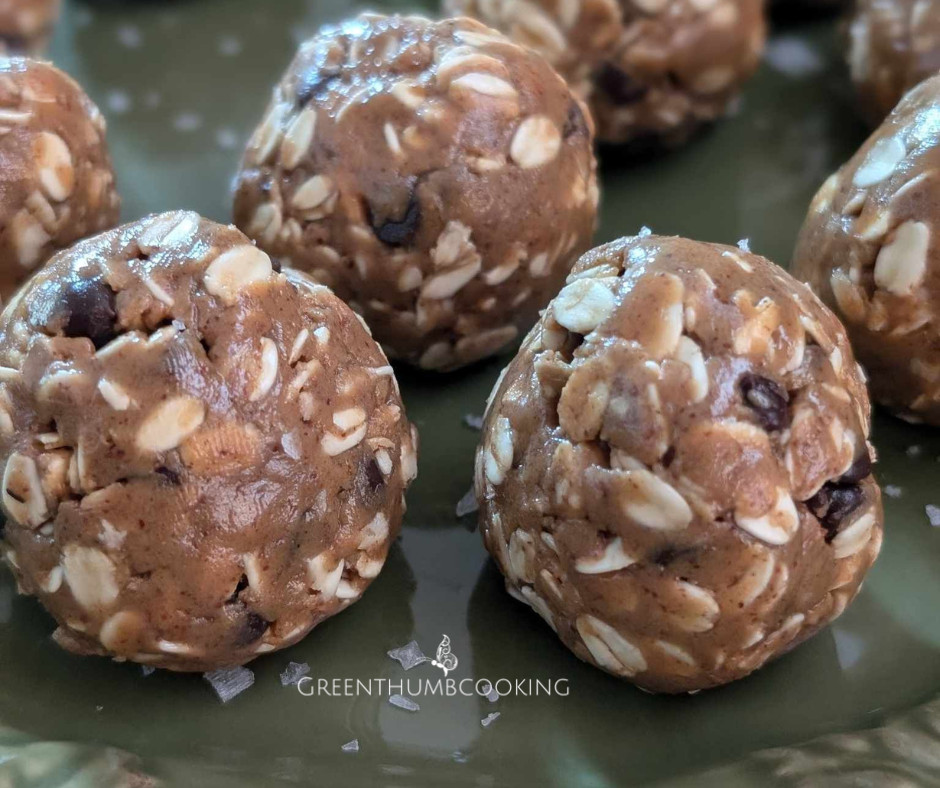 Chocolate Chip Protein Bites-No Bake