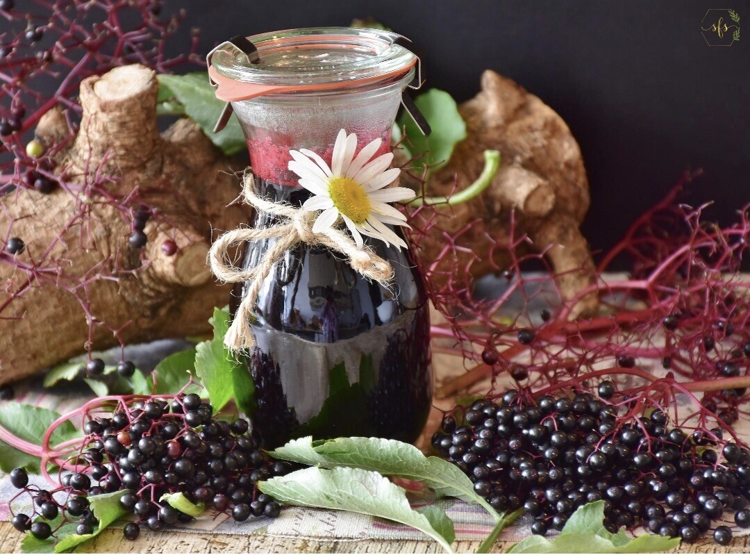 Benefits of Elderberry Syrup