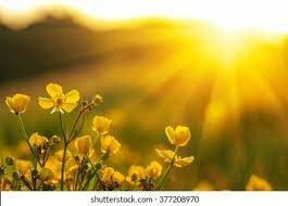 Here Comes the Sun!