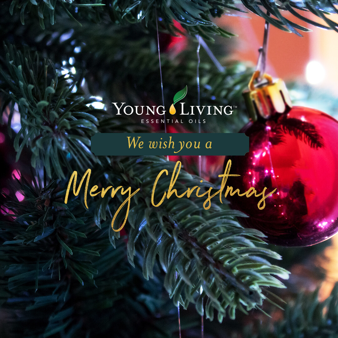 Merry Christmas!