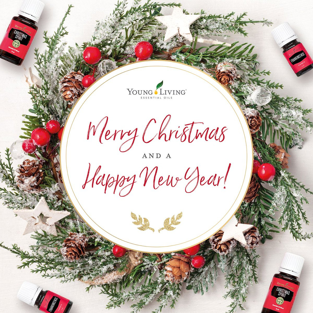 Merry Christmas and Happy New Year!