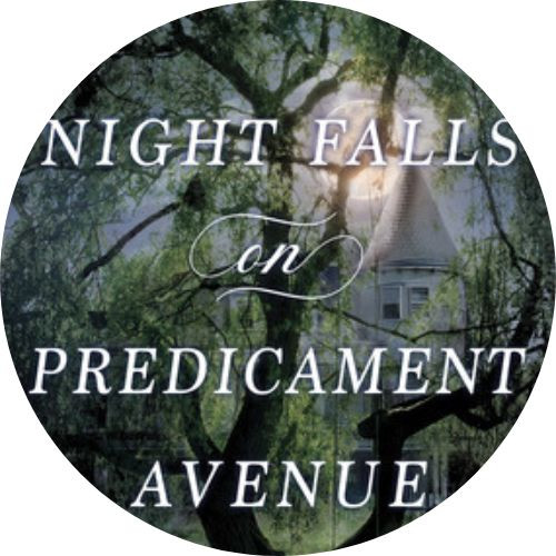 Book Review: Night Falls on Predicament Avenue by Jaime Jo Wright