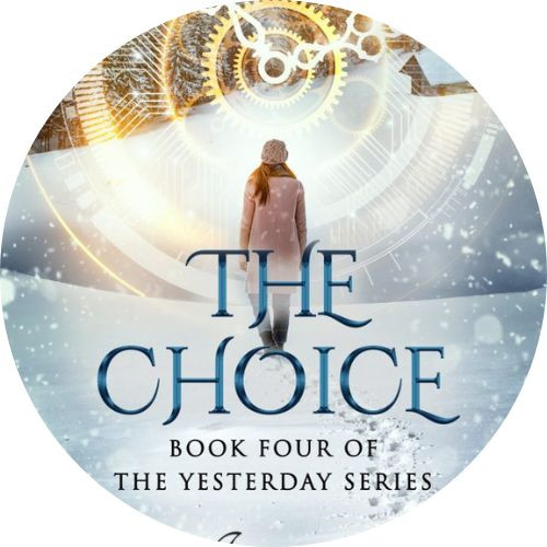 Book Review: The Choice by Amanda Tru