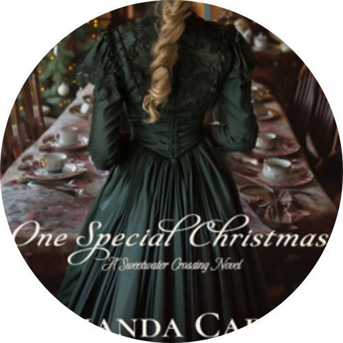 Book Review: One Special Christmas by Amanda Cabot