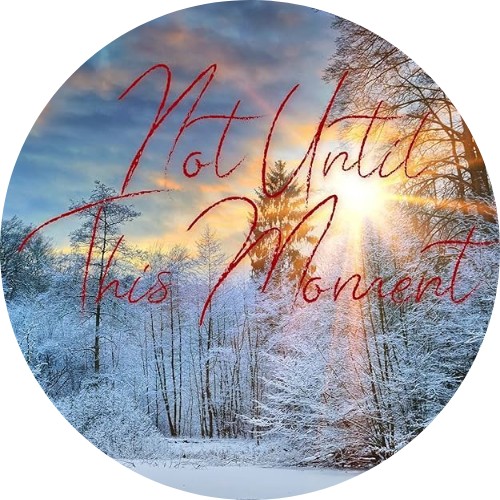 Book Review: Not Until This Moment by Valerie M Bodden 
