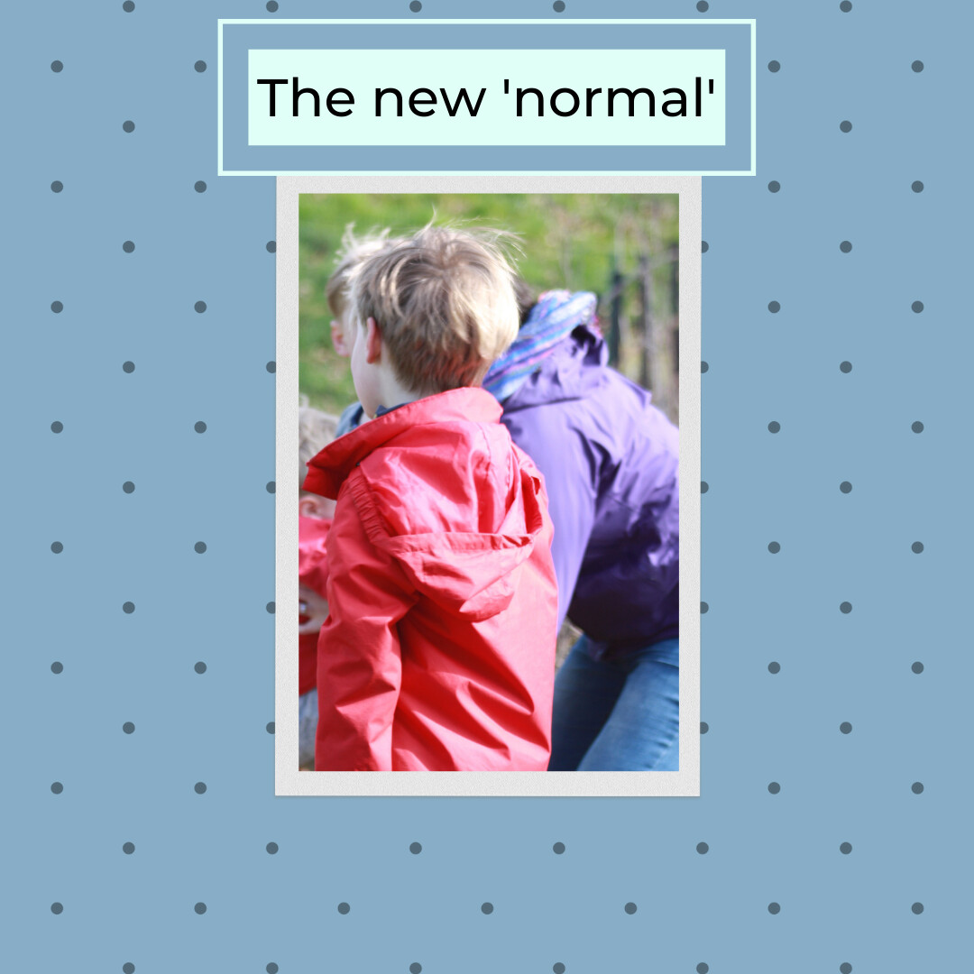 The 'New Normal'