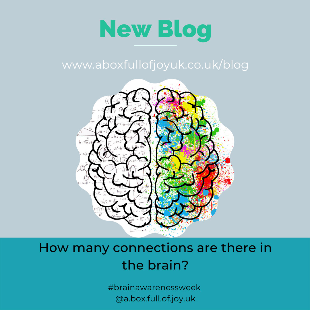 How many connections are there in the brain?