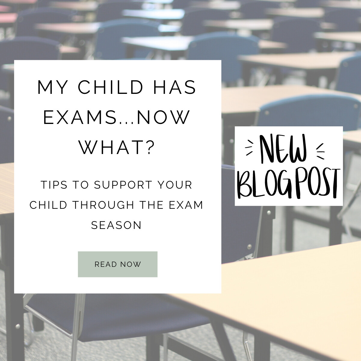 My child has exams...now what?