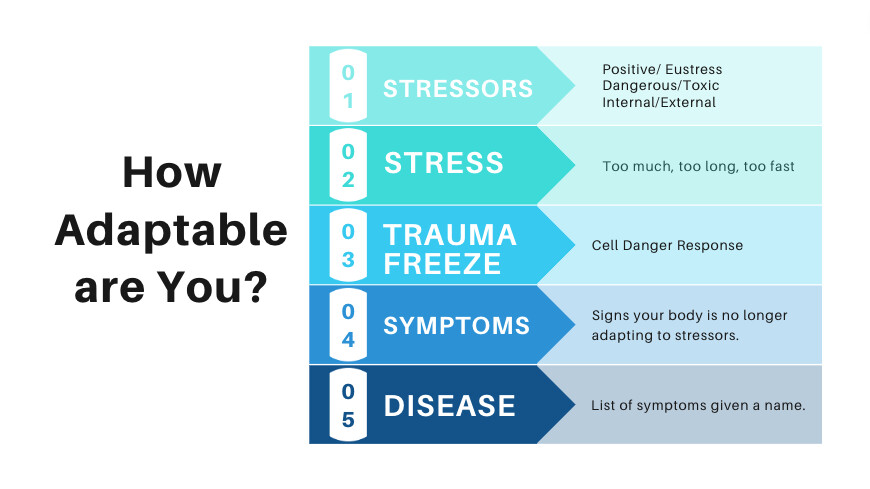 How Adaptable are You?