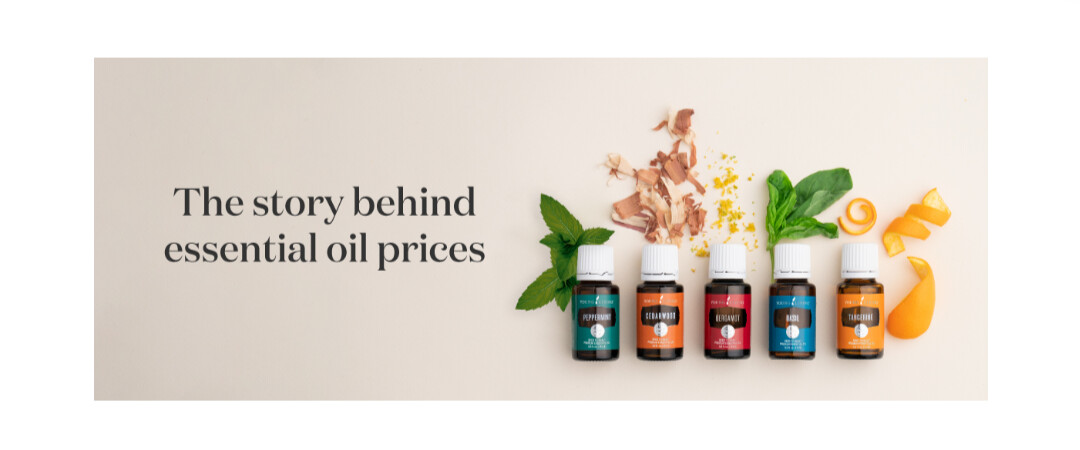 The story behind essential oil prices