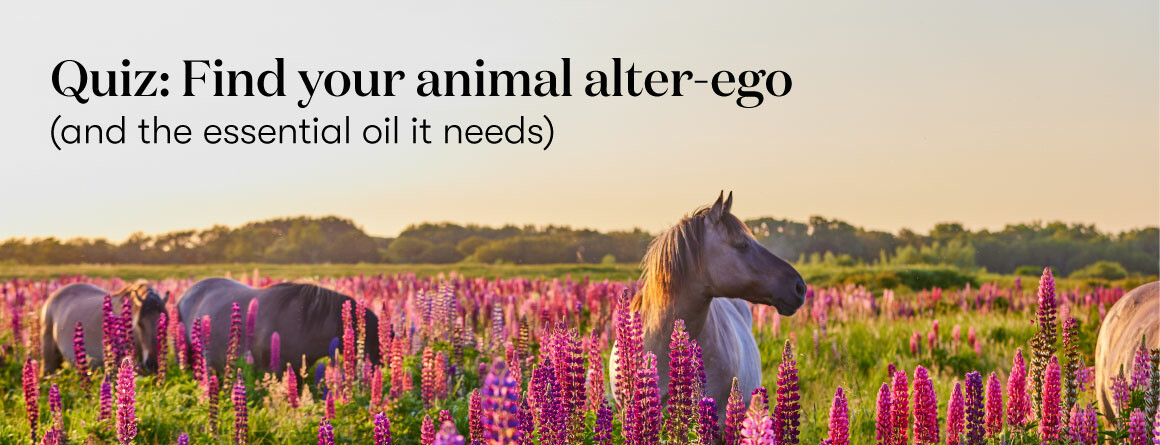 Quiz: Find your animal alter-ego (and the essential oil it needs)