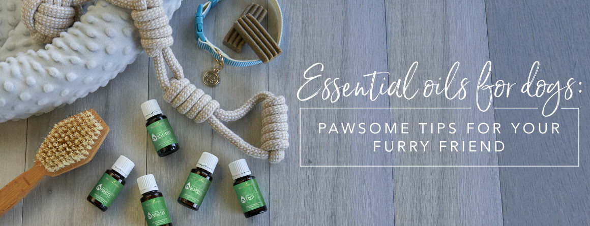  ESSENTIAL OILS FOR DOGS: PAWSOME TIPS FOR YOUR FURRY FRIEND