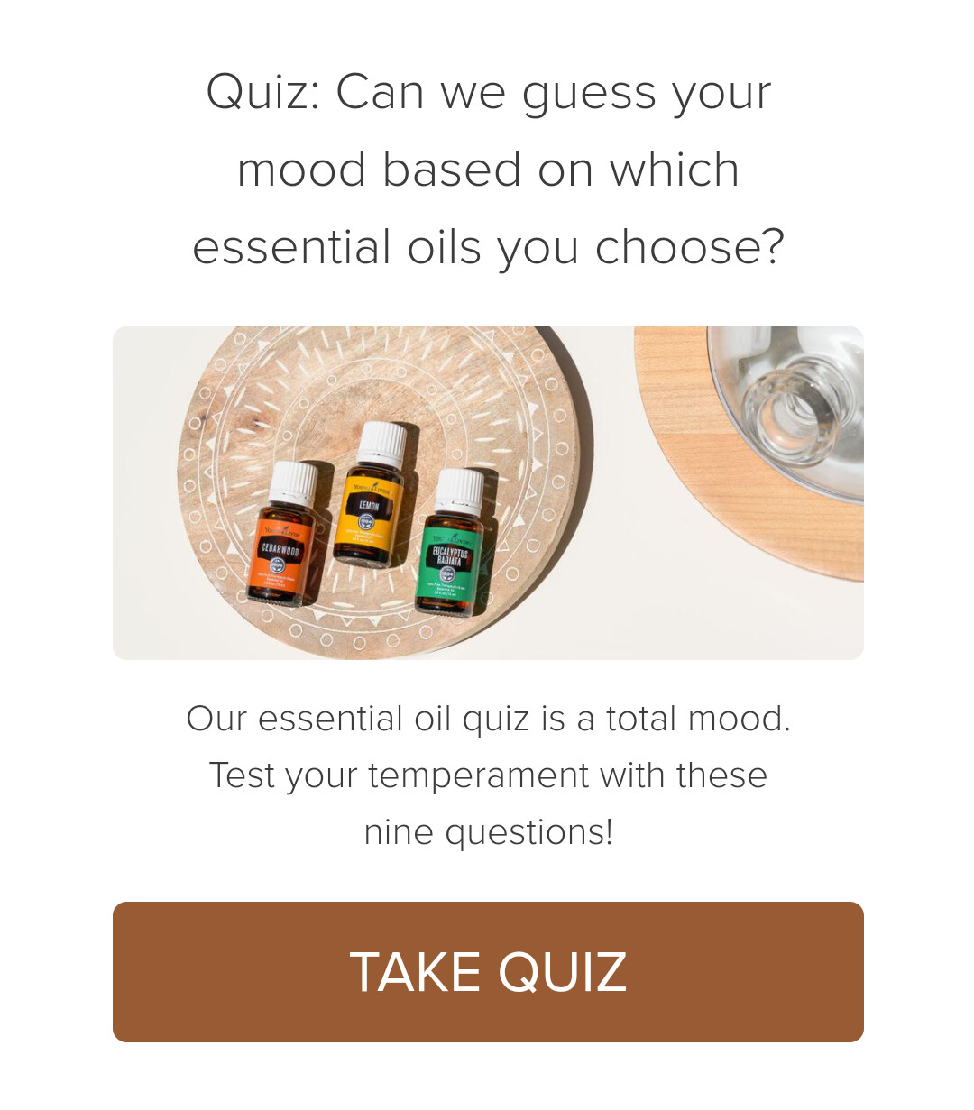 Quiz: Can we guess your mood based on which essential oils you choose?