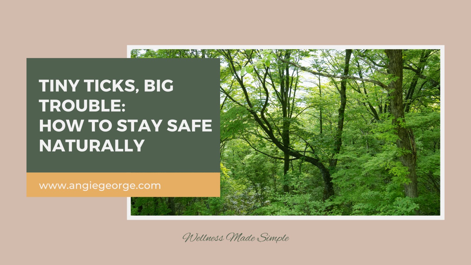 Tiny Ticks, Big Trouble:  How to Stay Safe Naturally