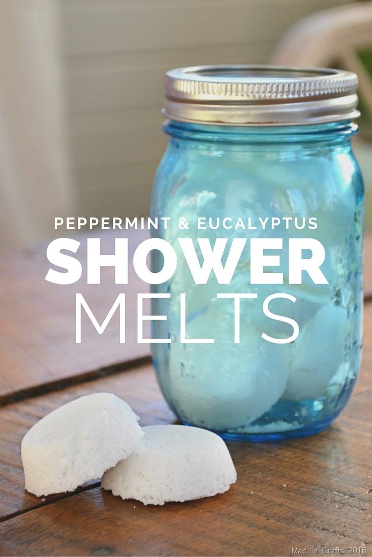 PEPPERMINT & EUCALYPTUS SHOWER MELTS