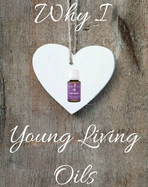 Reasons Why I Love Young Living Oils