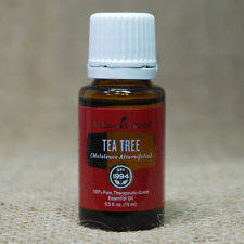 18 Young Living Tea Tree Oil Uses