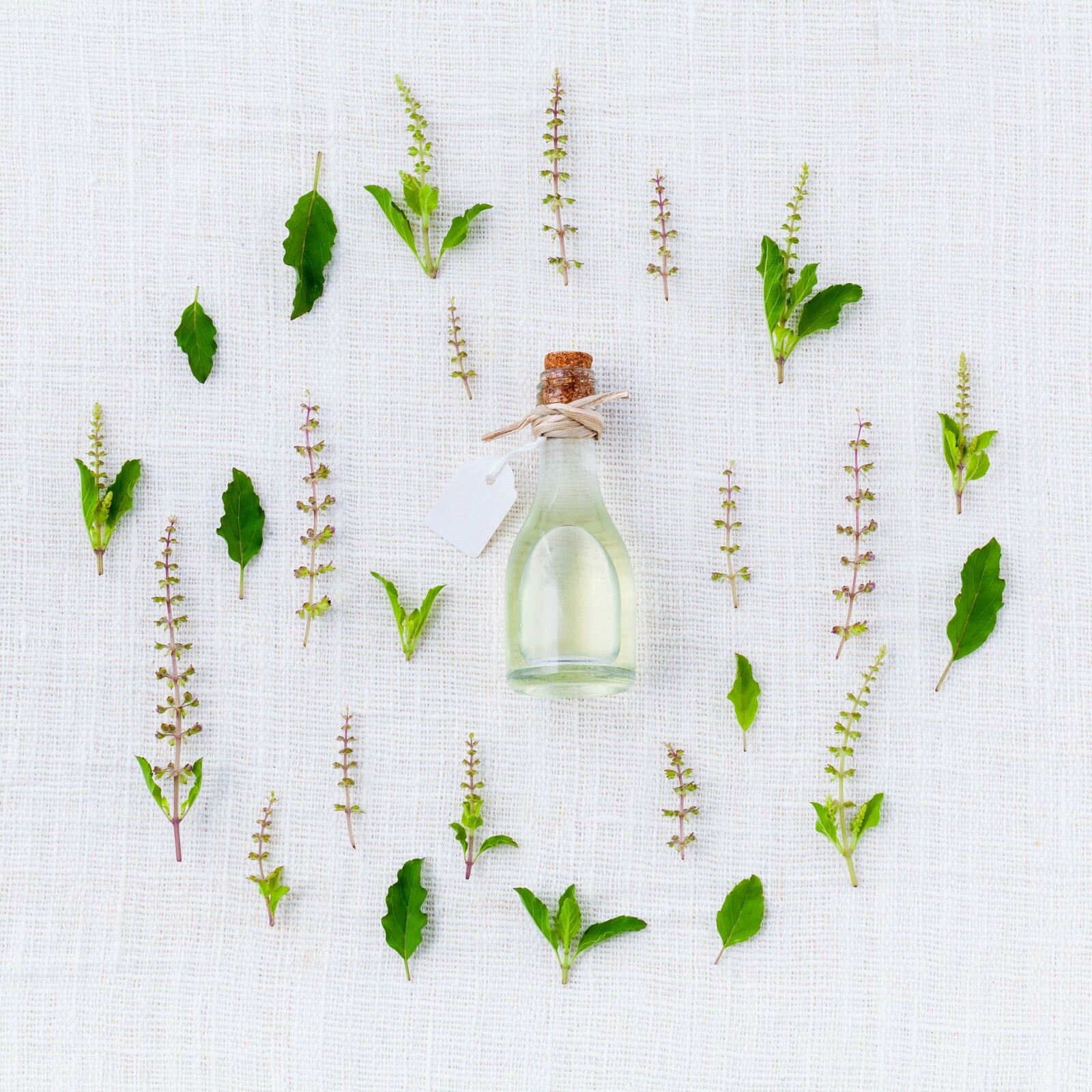 Tips on Using Essential Oils