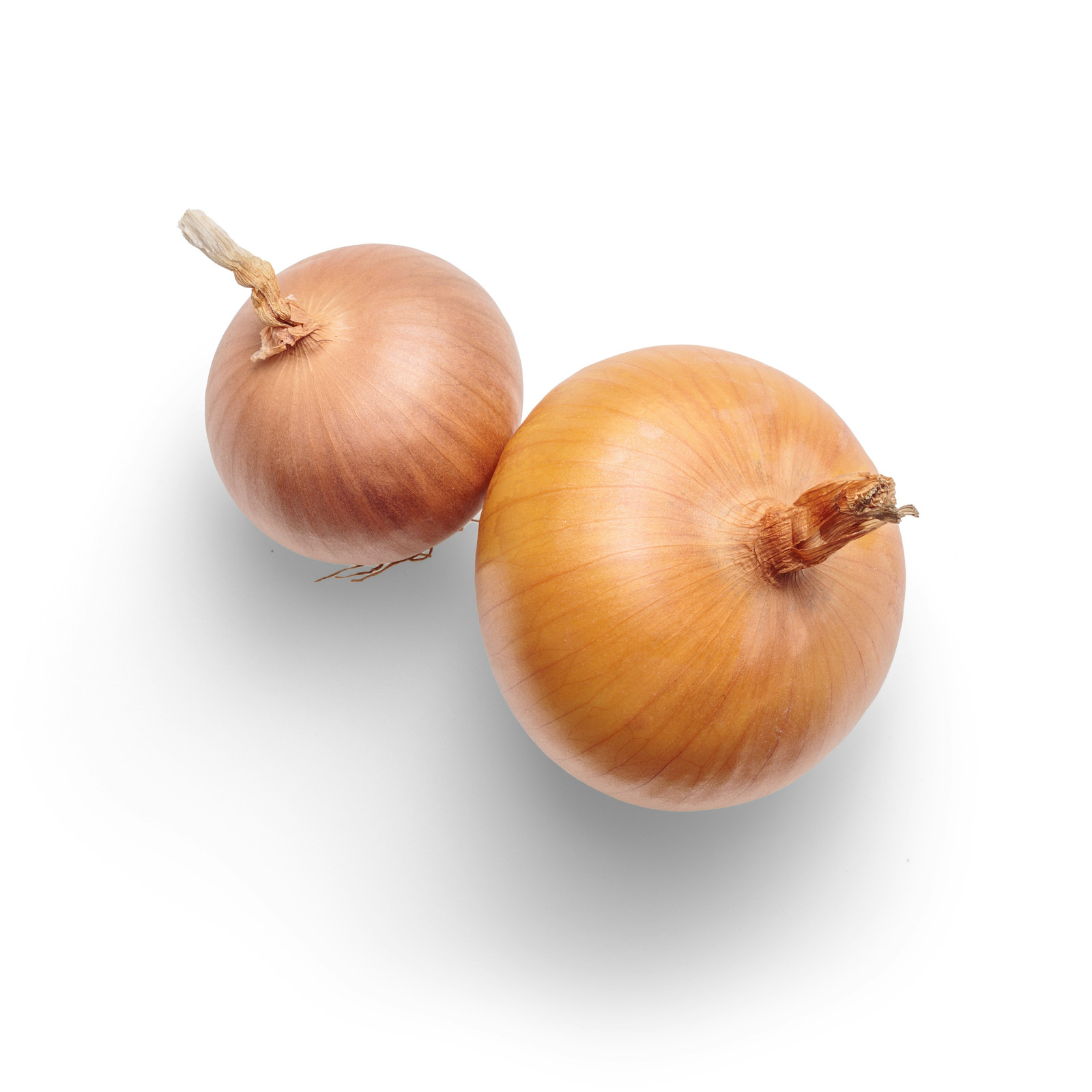 The Humble Onion: A Health Powerhouse